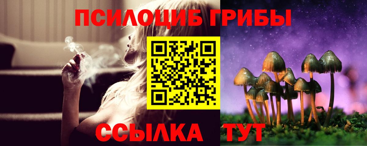 Псилоцибиновые грибы MAGIC MUSHROOMS Омск